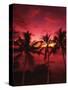 View Palm Trees on Beach, Big Islands, Kona, Hawaii, USA-Stuart Westmorland-Stretched Canvas