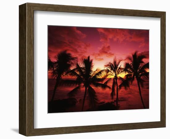 View Palm Trees on Beach, Big Islands, Kona, Hawaii, USA-Stuart Westmorland-Framed Photographic Print