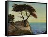 View Point-Tim O'toole-Framed Stretched Canvas