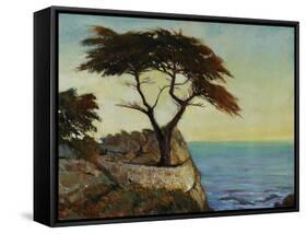 View Point-Tim O'toole-Framed Stretched Canvas