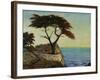 View Point-Tim O'toole-Framed Giclee Print