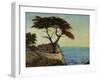 View Point-Tim O'toole-Framed Giclee Print
