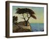 View Point-Tim O'toole-Framed Giclee Print