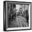 View Showing a Typical Street Scene in Lisbon-Bernard Hoffman-Framed Photographic Print