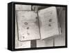View Showing "Judge" Roy Bean's Law Books-Carl Mydans-Framed Stretched Canvas