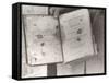 View Showing "Judge" Roy Bean's Law Books-Carl Mydans-Framed Stretched Canvas