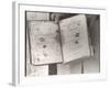 View Showing "Judge" Roy Bean's Law Books-Carl Mydans-Framed Photographic Print