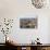 View South from Guinici Tower of City Rooftops and Cathedral, Lucca, Tuscany, Italy-Richard Ashworth-Stretched Canvas displayed on a wall