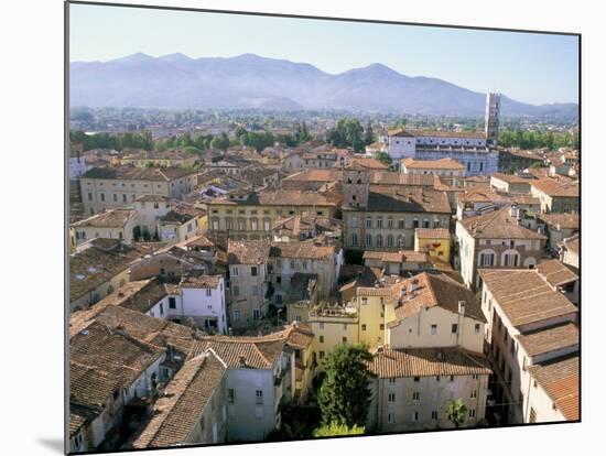 View South from Guinici Tower of City Rooftops and Cathedral, Lucca, Tuscany, Italy-Richard Ashworth-Mounted Photographic Print