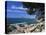 View Southwards Over Marina, Altea, Alicante, Costa Blanca, Spain, Mediterranean-Ruth Tomlinson-Stretched Canvas
