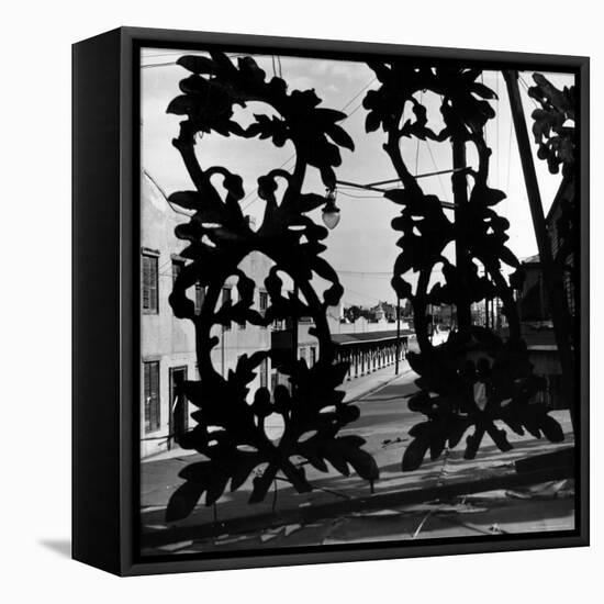 View Through Acorn Iron Grillwork of Rows of Cheap Sporting Houses-David Scherman-Framed Stretched Canvas