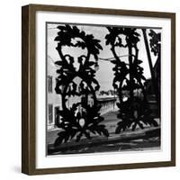 View Through Acorn Iron Grillwork of Rows of Cheap Sporting Houses-David Scherman-Framed Photographic Print