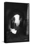 View Through an Archway, Rabat, Morocco, C1920S-C1930S-null-Framed Stretched Canvas