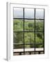 View Through Old Window Panes-Felipe Rodriguez-Framed Photographic Print