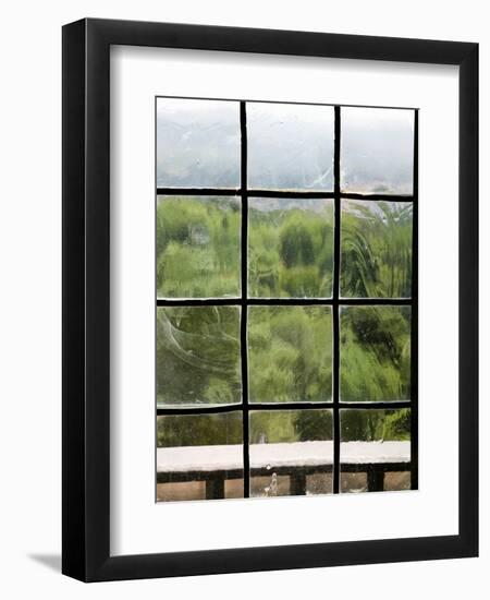 View Through Old Window Panes-Felipe Rodriguez-Framed Photographic Print