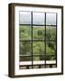 View Through Old Window Panes-Felipe Rodriguez-Framed Photographic Print