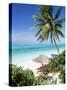 View Through Palm Trees Towards Beach and Indian Ocean, Jambiani, Island of Zanzibar, Tanzania-Lee Frost-Stretched Canvas