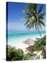View Through Palm Trees Towards Beach and Indian Ocean, Jambiani, Island of Zanzibar, Tanzania-Lee Frost-Stretched Canvas