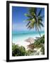 View Through Palm Trees Towards Beach and Indian Ocean, Jambiani, Island of Zanzibar, Tanzania-Lee Frost-Framed Premium Photographic Print