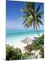 View Through Palm Trees Towards Beach and Indian Ocean, Jambiani, Island of Zanzibar, Tanzania-Lee Frost-Mounted Premium Photographic Print