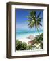 View Through Palm Trees Towards Beach and Indian Ocean, Jambiani, Island of Zanzibar, Tanzania-Lee Frost-Framed Photographic Print