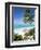 View Through Palm Trees Towards Beach and Indian Ocean, Jambiani, Island of Zanzibar, Tanzania-Lee Frost-Framed Photographic Print