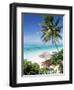 View Through Palm Trees Towards Beach and Indian Ocean, Jambiani, Island of Zanzibar, Tanzania-Lee Frost-Framed Photographic Print