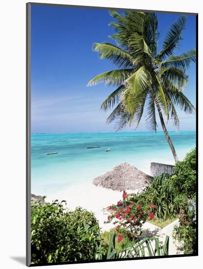 View Through Palm Trees Towards Beach and Indian Ocean, Jambiani, Island of Zanzibar, Tanzania-Lee Frost-Mounted Photographic Print