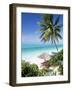 View Through Palm Trees Towards Beach and Indian Ocean, Jambiani, Island of Zanzibar, Tanzania-Lee Frost-Framed Photographic Print