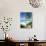 View Through Palm Trees Towards Beach and Indian Ocean, Jambiani, Island of Zanzibar, Tanzania-Lee Frost-Photographic Print displayed on a wall