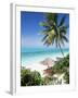 View Through Palm Trees Towards Beach and Indian Ocean, Jambiani, Island of Zanzibar, Tanzania-Lee Frost-Framed Photographic Print