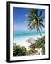 View Through Palm Trees Towards Beach and Indian Ocean, Jambiani, Island of Zanzibar, Tanzania-Lee Frost-Framed Photographic Print