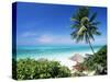 View Through Palm Trees Towards Beach and Indian Ocean, Jambiani, Island of Zanzibar, Tanzania-Lee Frost-Stretched Canvas