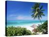 View Through Palm Trees Towards Beach and Indian Ocean, Jambiani, Island of Zanzibar, Tanzania-Lee Frost-Stretched Canvas