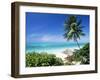 View Through Palm Trees Towards Beach and Indian Ocean, Jambiani, Island of Zanzibar, Tanzania-Lee Frost-Framed Photographic Print