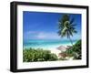 View Through Palm Trees Towards Beach and Indian Ocean, Jambiani, Island of Zanzibar, Tanzania-Lee Frost-Framed Photographic Print