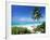 View Through Palm Trees Towards Beach and Indian Ocean, Jambiani, Island of Zanzibar, Tanzania-Lee Frost-Framed Photographic Print