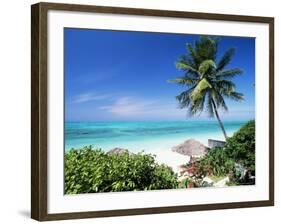 View Through Palm Trees Towards Beach and Indian Ocean, Jambiani, Island of Zanzibar, Tanzania-Lee Frost-Framed Photographic Print