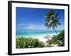 View Through Palm Trees Towards Beach and Indian Ocean, Jambiani, Island of Zanzibar, Tanzania-Lee Frost-Framed Photographic Print