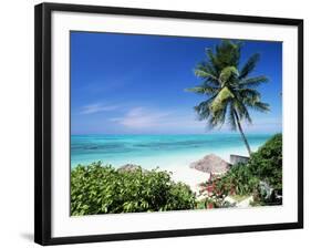 View Through Palm Trees Towards Beach and Indian Ocean, Jambiani, Island of Zanzibar, Tanzania-Lee Frost-Framed Photographic Print