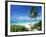 View Through Palm Trees Towards Beach and Indian Ocean, Jambiani, Island of Zanzibar, Tanzania-Lee Frost-Framed Photographic Print