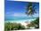 View Through Palm Trees Towards Beach and Indian Ocean, Jambiani, Island of Zanzibar, Tanzania-Lee Frost-Mounted Photographic Print