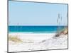 View through the Dunes to the Blue Ocean of Pensacola Beach-Sonja Filitz-Mounted Premium Photographic Print