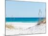 View through the Dunes to the Blue Ocean of Pensacola Beach-Sonja Filitz-Mounted Photographic Print