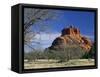 View to Bell Rock, Arizona, USA-Ruth Tomlinson-Framed Stretched Canvas