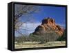 View to Bell Rock, Arizona, USA-Ruth Tomlinson-Framed Stretched Canvas