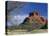 View to Bell Rock, Arizona, USA-Ruth Tomlinson-Stretched Canvas