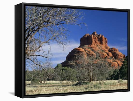 View to Bell Rock, Arizona, USA-Ruth Tomlinson-Framed Stretched Canvas