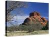 View to Bell Rock, Arizona, USA-Ruth Tomlinson-Stretched Canvas