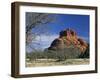 View to Bell Rock, Arizona, USA-Ruth Tomlinson-Framed Premium Photographic Print